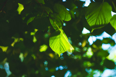 Similar image 21820944