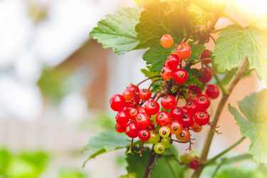 Similar image 21820949