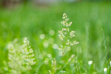 Similar image 21819677