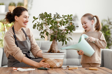 Similar image 21821327