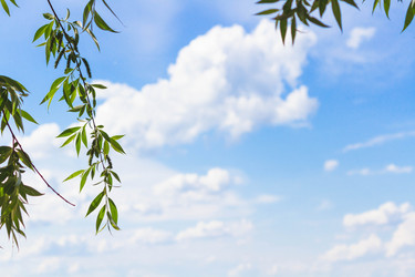 Similar image 21819682