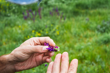 Similar image 21819683