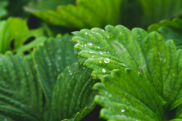 Similar image 21819688