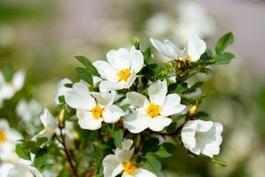 Similar image 21819700