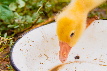 Similar image 21819702