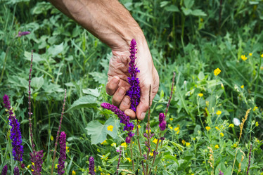 Similar image 21819703