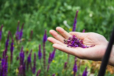 Similar image 21819704