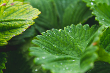 Similar image 21819706