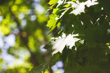 Similar image 21819708