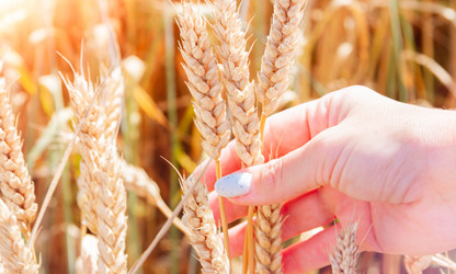 Similar image 21819716