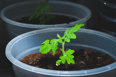 Similar image 21819717