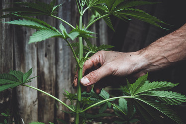 Similar image 21819720