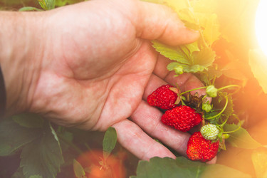 Similar image 21819728