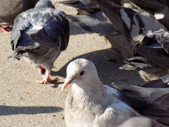 Similar image 21818890