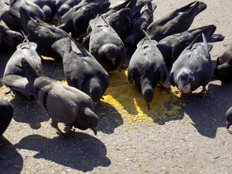 Similar image 21818893