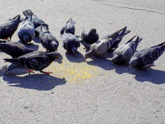 Similar image 21818894