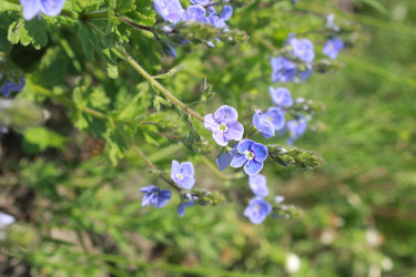 Similar image 21818896