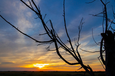 Similar image 21819729