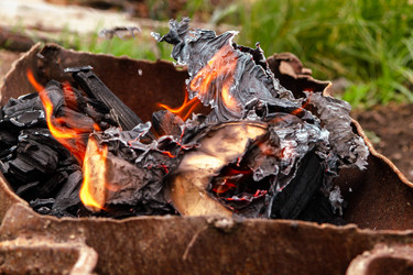 Similar image 21820455