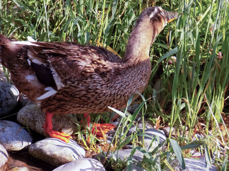 Similar image 21819019