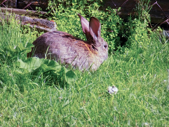 Similar image 21819021