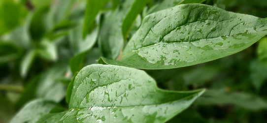 Similar image 21819022