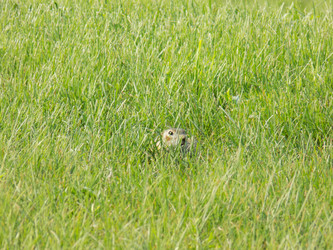 Similar image 21819023