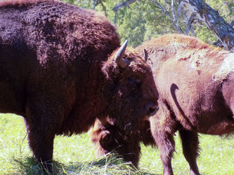 Similar image 21819025