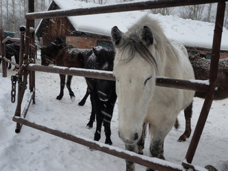 Similar image 21819028