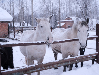 Similar image 21819032