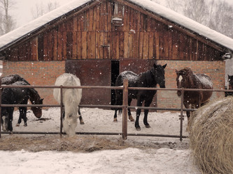 Similar image 21819034