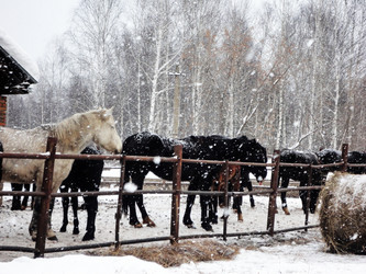 Similar image 21819038