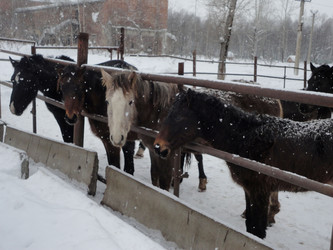 Similar image 21819039