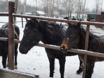 Similar image 21819040