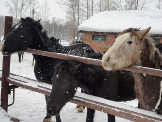 Similar image 21819044