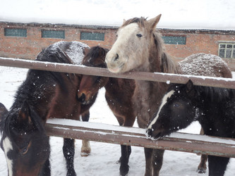 Similar image 21819045