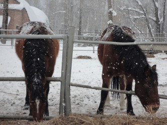 Similar image 21819046