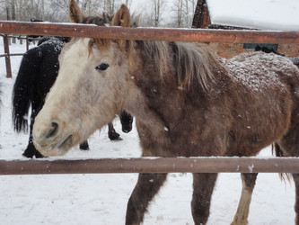 Similar image 21819051