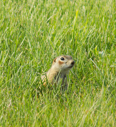 Similar image 21819052