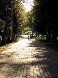 Similar image 21819055