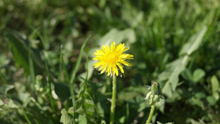 Similar image 21818710