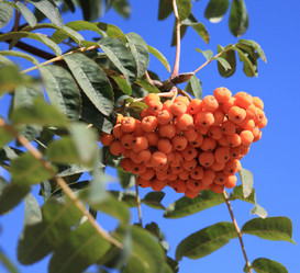 Similar image 21818711