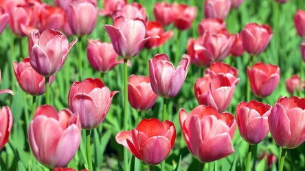 Similar image 21818715