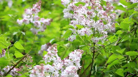 Similar image 21818717