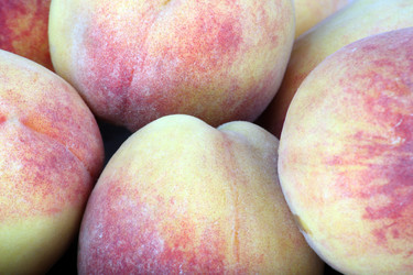 Similar image 21818725