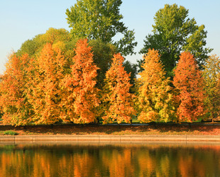 Similar image 21818726