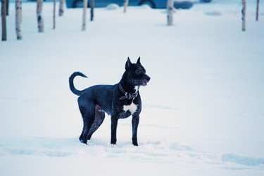 Similar image 21818044