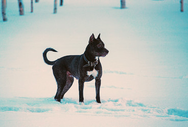 Similar image 21818045