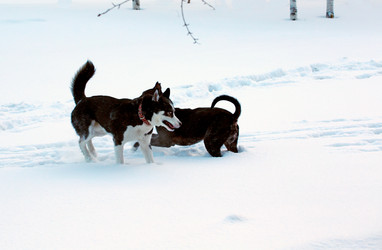 Similar image 21818046