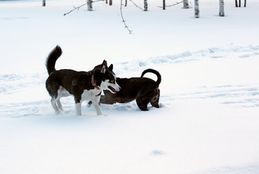 Similar image 21818047